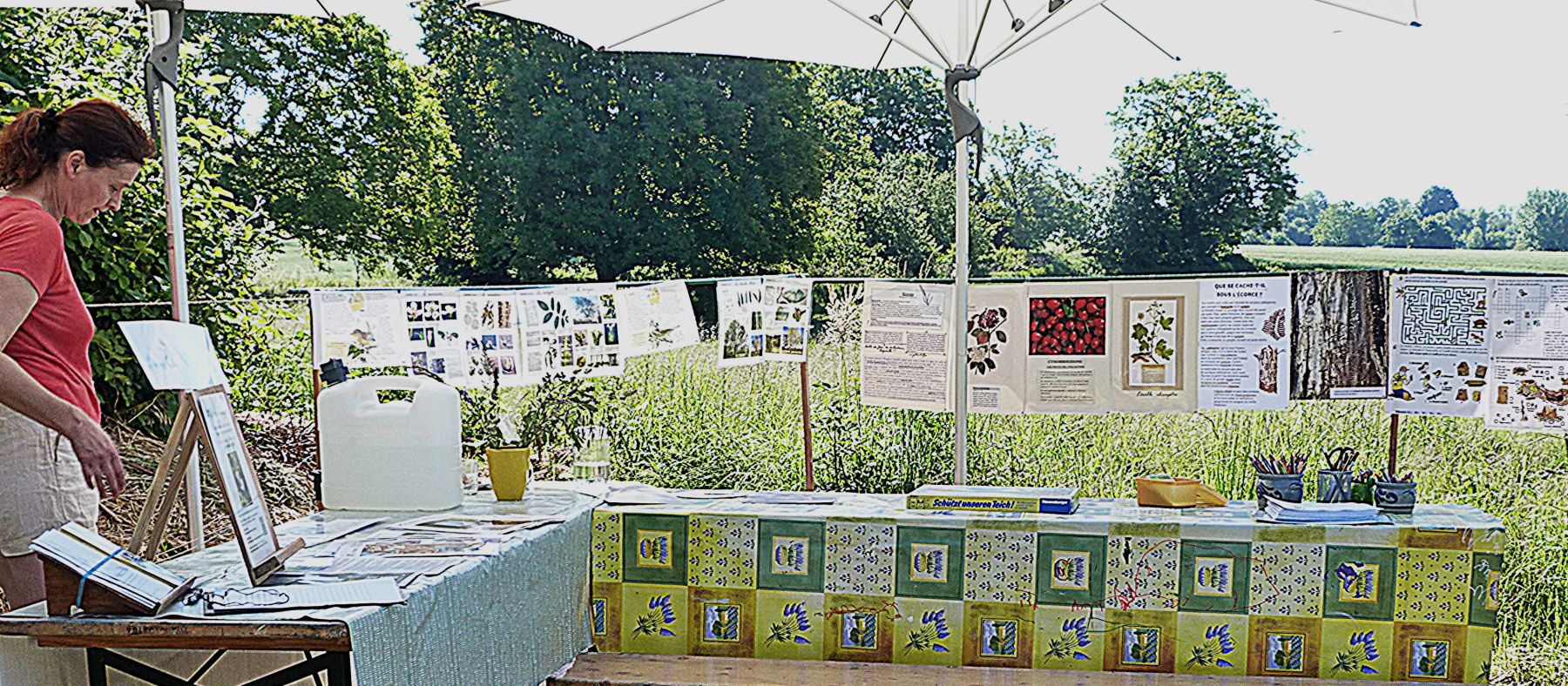 Retour sur la fête de la nature