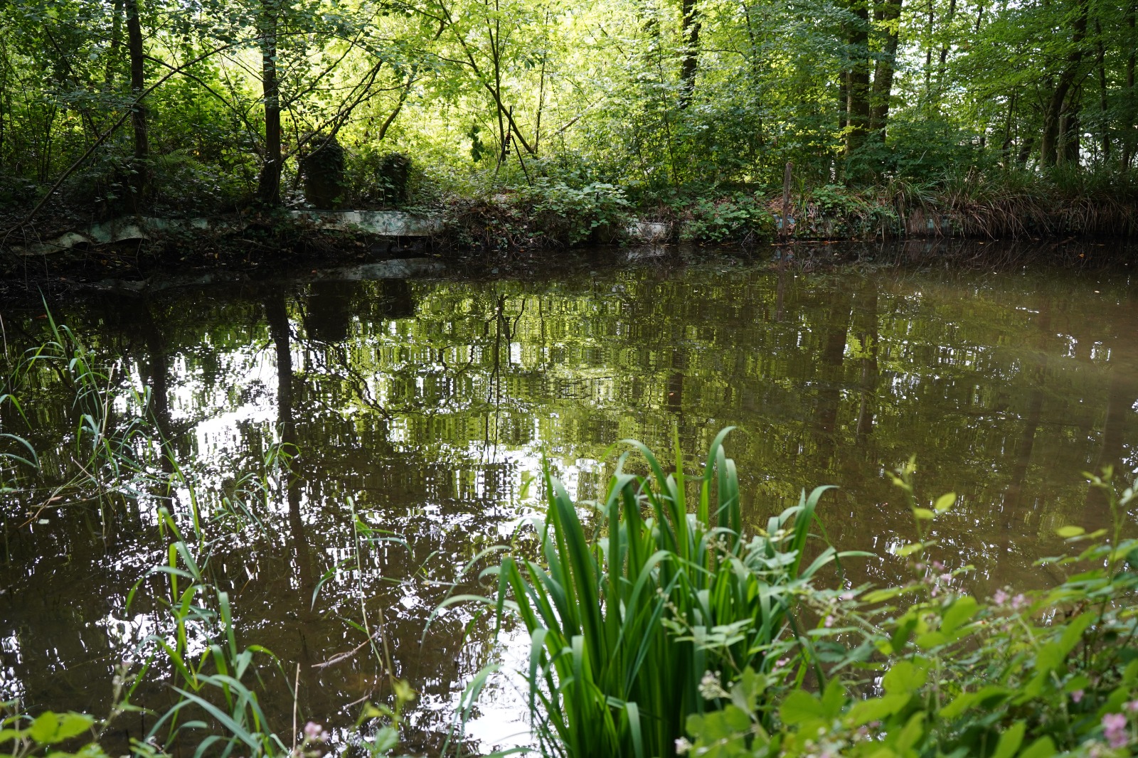 Retour sur le chantier nature à Cleebourg